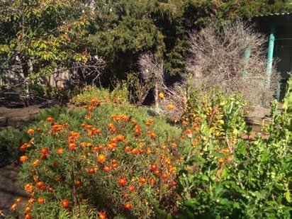 Продам участок на 9й станции Большого фонтана 98979 Одеса