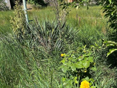 Продам дачный участок с домом в черте города,  Ракетная Роща Миколаїв