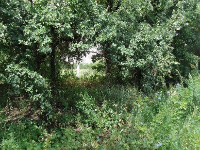 Участок в г Днепр,Чечеловский район, Краснополье. 10 соток Дніпро