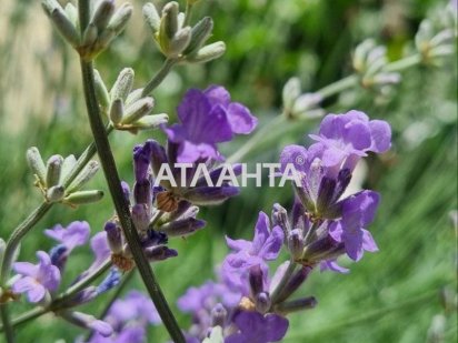 Фасадный участок под застройку на Донского Одеса