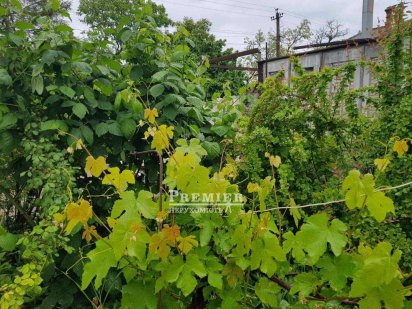 Продам эксклюзивный участок 6 соток на Фонтане в 5 минутах от моря!