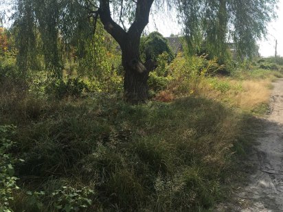 Большевик ветхое строение участок 6 соток школа 41 Одесса