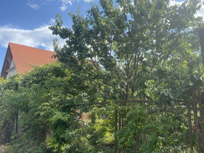 Продам участок у моря Одеса