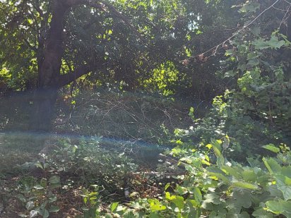 Участок 4 сотки Дача Ковалевского Одесса