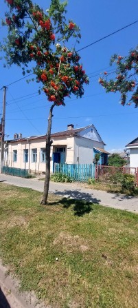 Продам квартиру на землі - фото 1