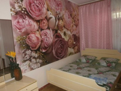 однокомнатная квартира посуточно Марганец