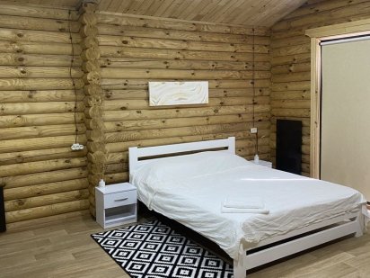 Посуточная и почесовая сдача дома. Центр. Кропивницкий