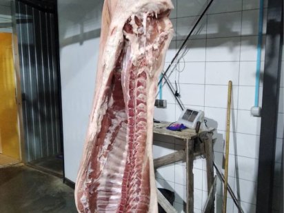 Убойный цех Житомир