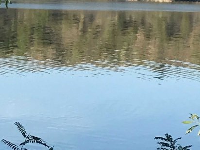 Здам будинок для відпочинку Кам'янець-Подільський