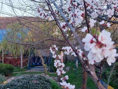 Здам подобово будинок на березі річкі, поряд з курортом Миргород