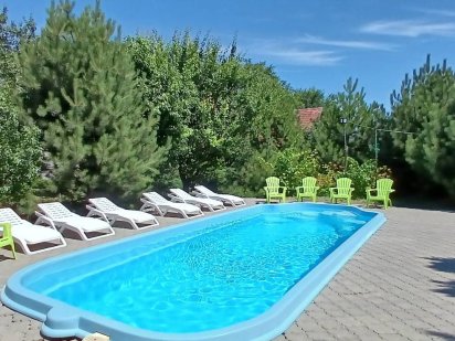 Дом с бассейном ,территорией. Днепр