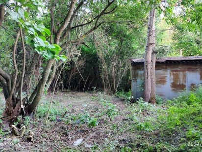 Київ, с/т Явір, Біличі, ( Ірпінь -Романівка) , Святошинський район ,7,77 соток 27500 у. о Ірпінь