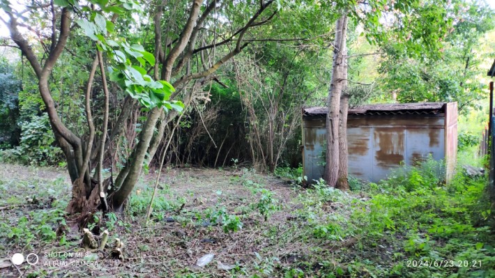 Київ, с/т Явір, Біличі, ( Ірпінь -Романівка) , Святошинський район ,7,77 соток 27500 у. о - фото 1