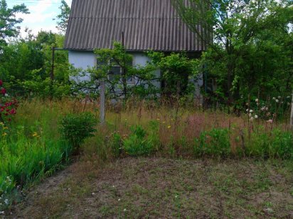 Продається дача в селі Великополецьке. Белая Церковь