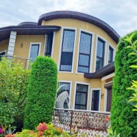 65 В Шикарний будинок з басейном Київ