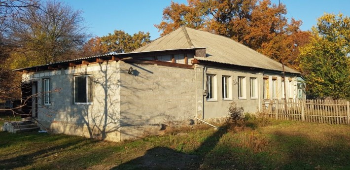 Крыловское лесництво г.Светловодске - фото 1