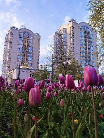 Продаж 2-кім квартири . Підходить під сертифікат єВідновлення - фото 1