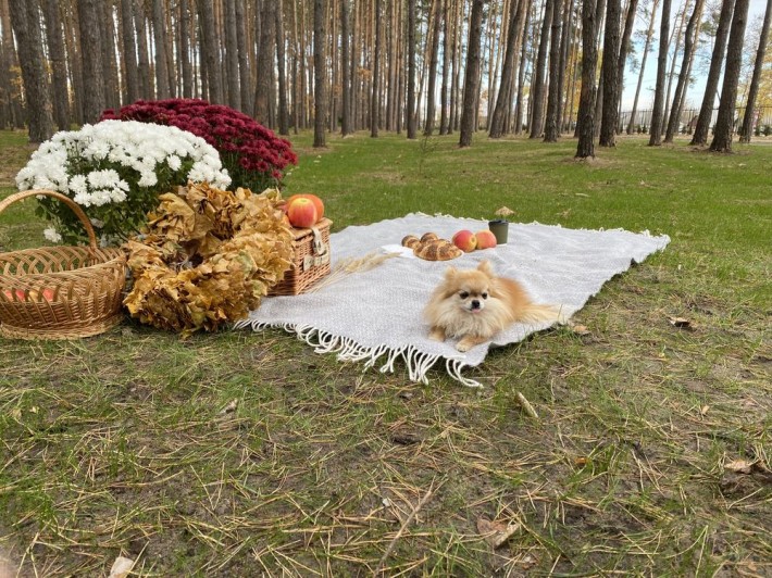 Ідеальний варіант для інвесторів. Смарт у ЖК Sobornyi. - фото 1