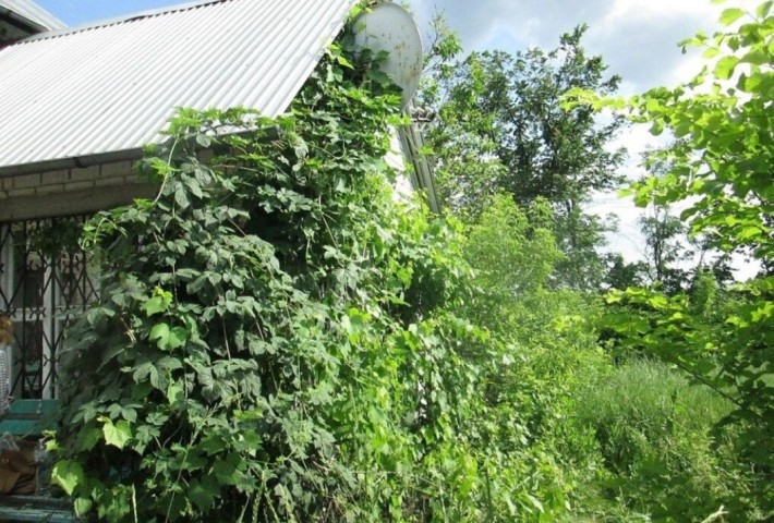 Продаётся Уголок райской природы ! Дача возле Самарского леса - фото 1