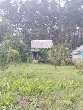 Продастся дача в районе Старой Подусовки. Общество Барвинок. - фото 1