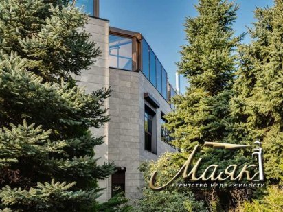 Цена снижена. Необыкновенный дом на Великом лугу.