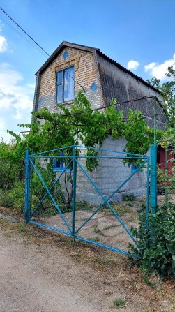 Дача в Наталівкі - фото 1