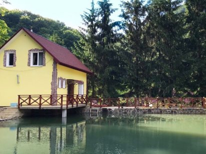 Подобово в ШАЯН БАНЯ будинок Закарпатье Карпаты Шаян