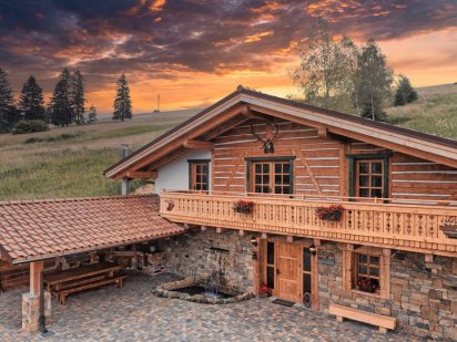 Оренда котеджу на 10+2 осіб в Ясінях «Chalet Laitner» Лазещина