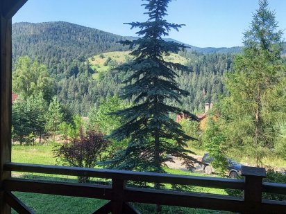 Відпочинок в Карпатах.Оренда будинка в горах .Котедж "Лара" Микуличин Микуличин