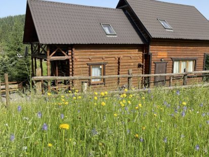 Оренда котеджу 6-11 осіб, біля лісу, Буковель Яблуница