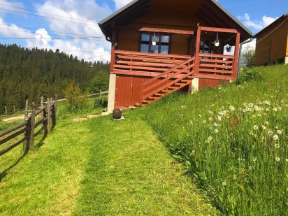 Здається будиночок Яблуниця