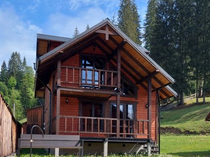 Котедж "Карпатська ідилія" Ворохта . Ворохта