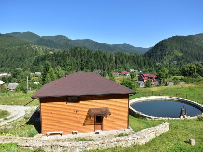 Здаю котедж, с. Татарів вул. Миру 42А, садиба на горі під лісом Татарів