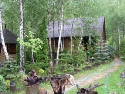 Оренда подобово заміський будинок зі зрубу Великая Солтановка