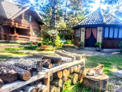 #337 Здаю будинок березі річки з великою теплою альтанкою Великая Солтановка