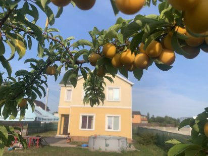 Новий ріік Баня.Свята.Корпоративи в будинку Садбері. Микуличи