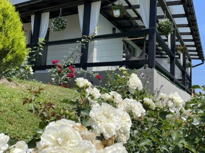 Оренда котеджу в карпатах Славсько Славське