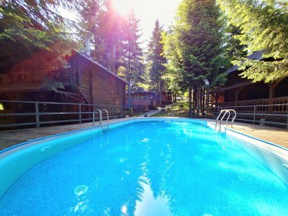 Будинки в Карпатах.  Котедж з басейном в Мигово Мигове