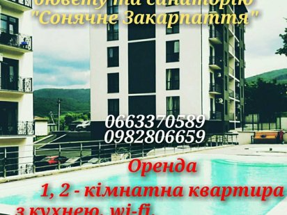 1, 2 -кімнатна квартира біля санаторію Сонячне Закарпаття, с.Поляна!