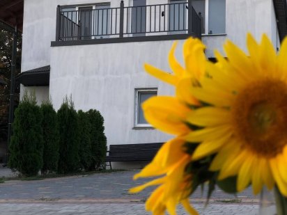 Подобова оренда квартир, апартаментів. Волочиськ