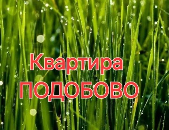 Квартира Подобово/посуточно/оренда - фото 1