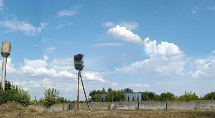 Модуль (база) 3,5 га в с.Вишняки Хорольського р-ну - фото 1