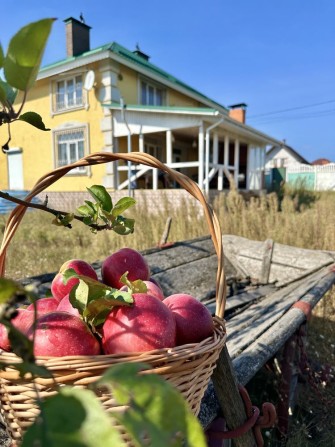 Великий будинок, земельна ділянка 25 соток - фото 1