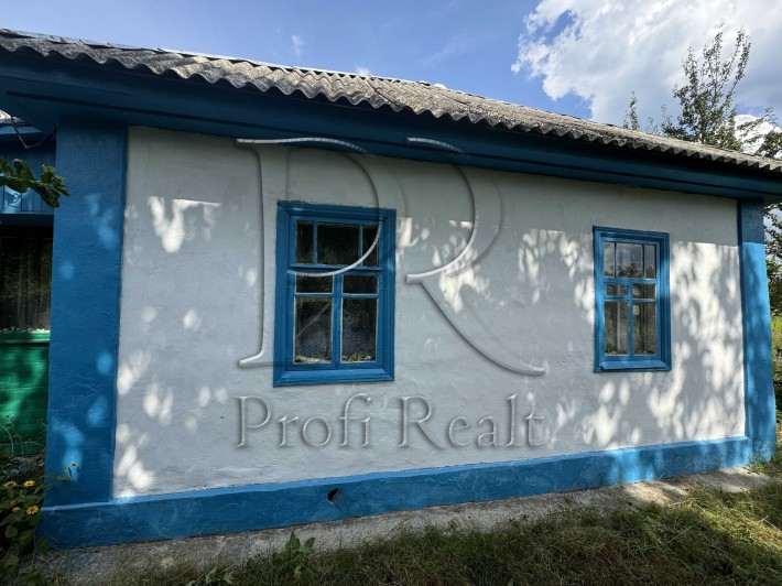 Продаж будинку село Літки, Рожни, Трудовик, Броварський район - фото 1