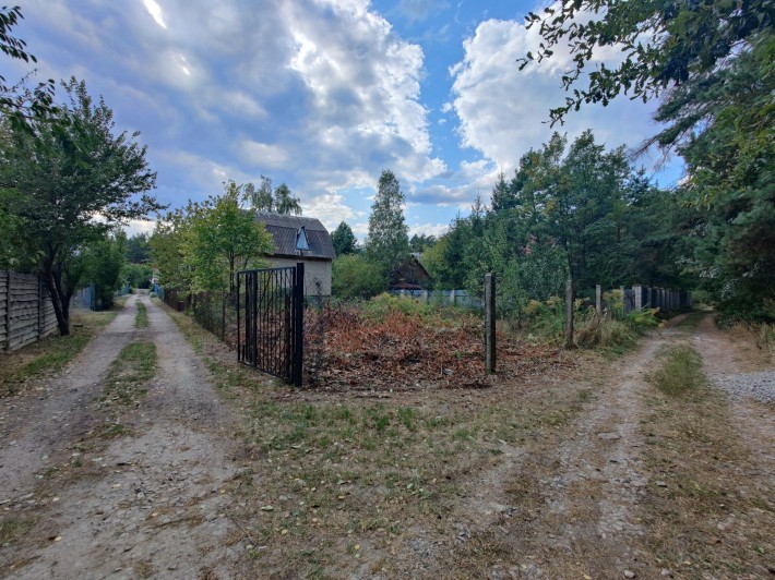 Продам дачу в СТ"Будівельник"Малютянка.Кутова ділянка.Ліс поруч - фото 1