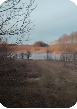 Продам землю Зарванці. Вінниця. - фото 1