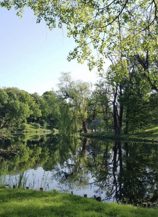 Земельна ділянка під забудову біля ставу Бохоники - фото 1