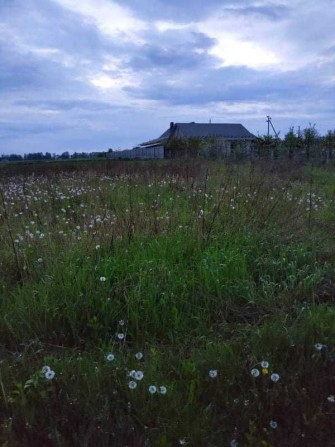 Продам ділянку с.Бохоники (8387) - фото 1