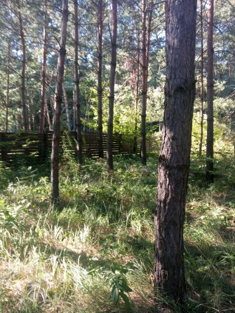 Великий заміський недобудований маєток з своїм лісом в казковому КМ - фото 1