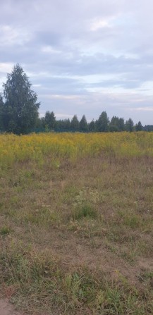 Пропозиція для забудовників, чудова інвестиція! Зем. ділянка 1,33 га - фото 1